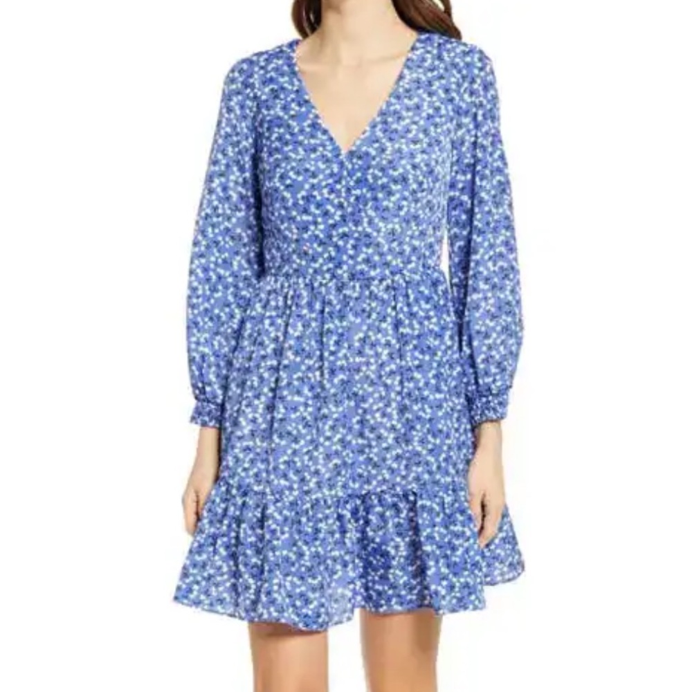 Eliza J Blue Floral Long Sleeve Fit & Flare Dress | Size 4